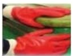 Rubber Coated Cotton Gloves Orange/Cream